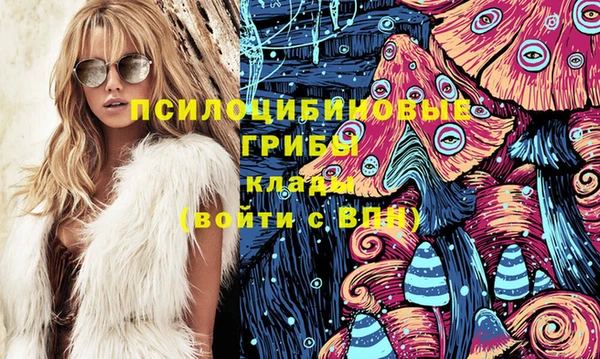 а пвп мука Алзамай