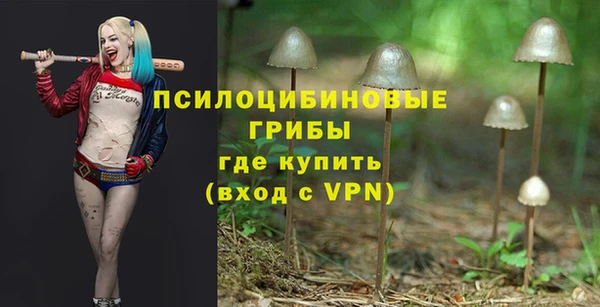 бутират Алексин